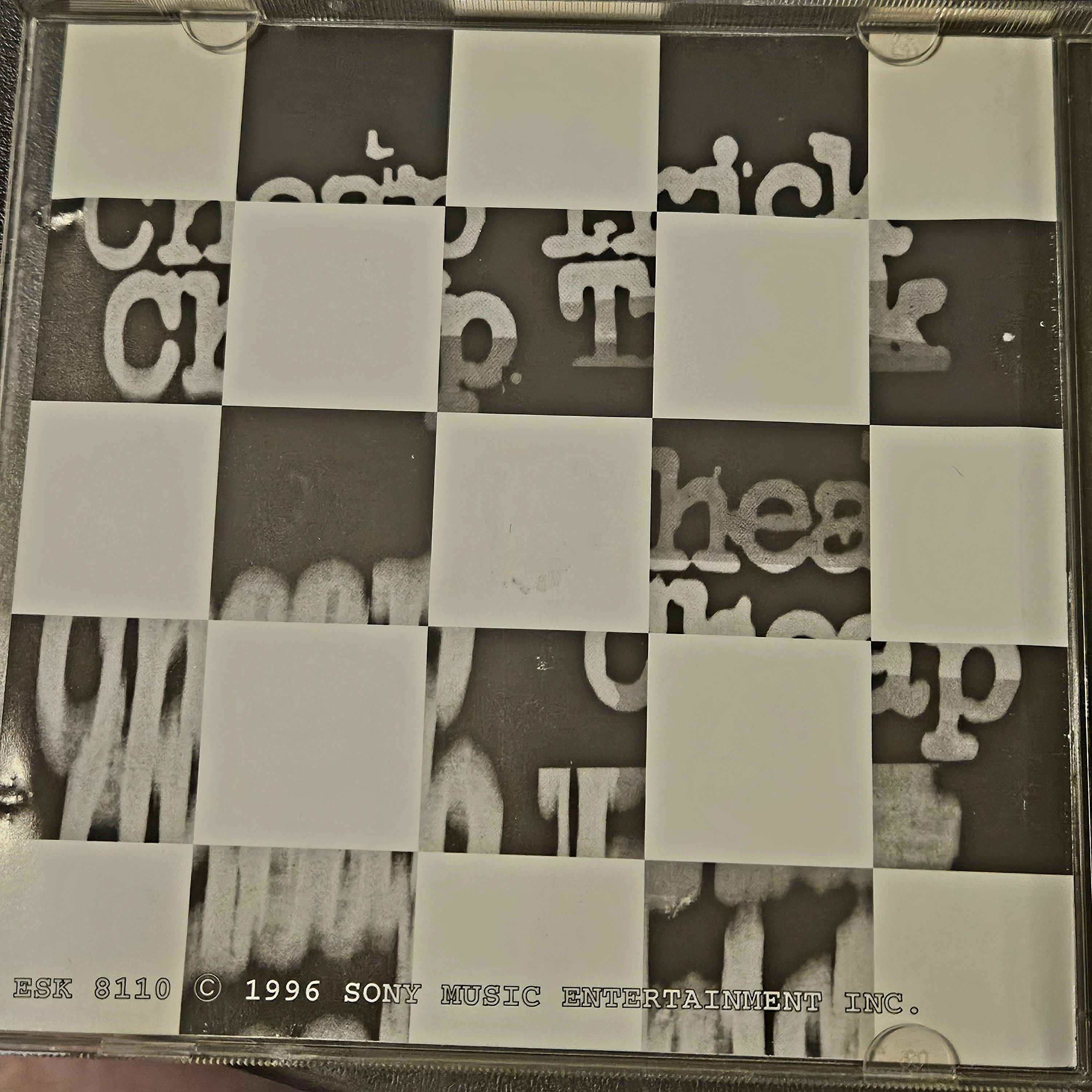 YOU CAN HAVE SEX IN AMERICA WITH CHEAP TRICK Promo CD photo 2